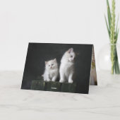 Kitten Dankeskarte (Rückseite)