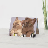 Kitten Dankeskarte (Rückseite)