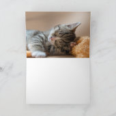Kitten Dankeskarte (Innenseite)