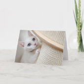 Kitten Dankeskarte (Vorderseite)
