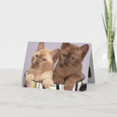 Kitten Dankeskarte (Rückseite)