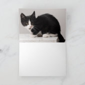 Kitten Dankeskarte (Innenseite)
