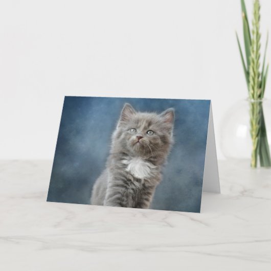 Kitten Dankeskarte (Vorderseite)
