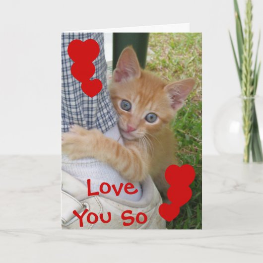Kitten Dax Liebe Card Karte (Vorderseite)