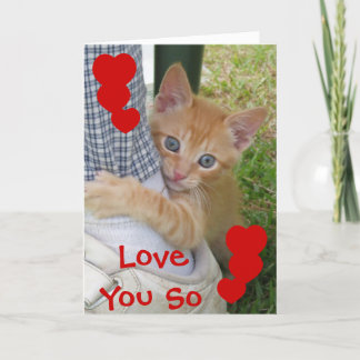 Kitten Dax Liebe Card Karte