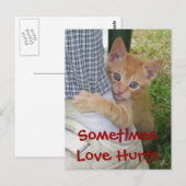 Kitten Dax Liebe Hurt Postcard Postkarte (Vorne/Hinten)