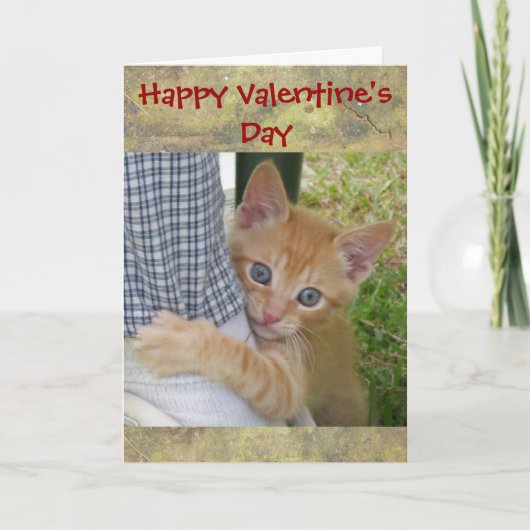 Kitten Dax Valentine Card Feiertagskarte (Vorderseite)