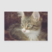 Kitten Decoupage Papier Handschuhmöbel Katze (Vorderseite)