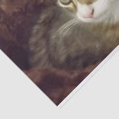 Kitten Decoupage Papier Handschuhmöbel Katze (Ausschnitt)