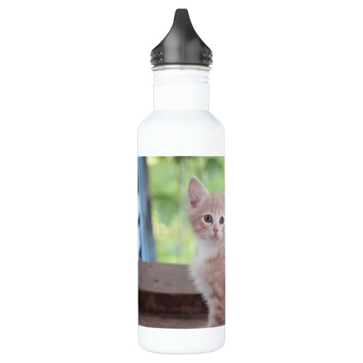 Kitten Edelstahlflasche (Links)