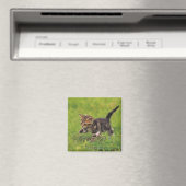 Kitten Erkundungsrasen Magnet (In Situ (Geschirrspüler))