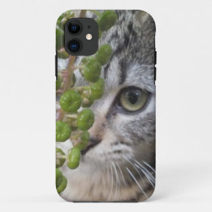 Kitten EYE-Phone 5 Fall verstecken Case-Mate iPhone Hülle