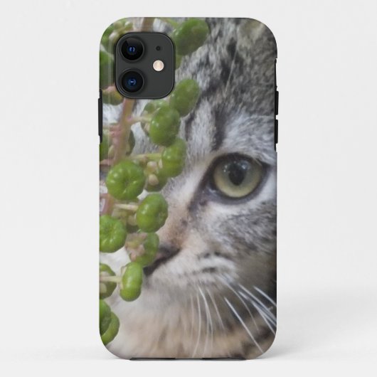 Kitten EYE-Phone 5 Fall verstecken Case-Mate iPhone Hülle (Rückseite)