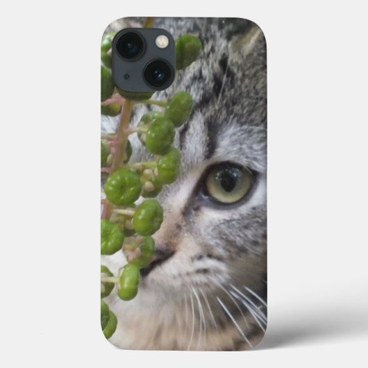 Kitten EYE-Phone iPad Case verstecken (Rückseite)