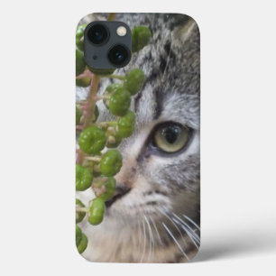 Kitten EYE-Phone iPad Mini Case verstecken