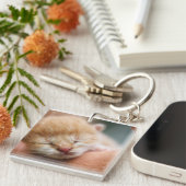 Kitten, Feline, Natur Schlüsselanhänger (Vorderseite rechts)