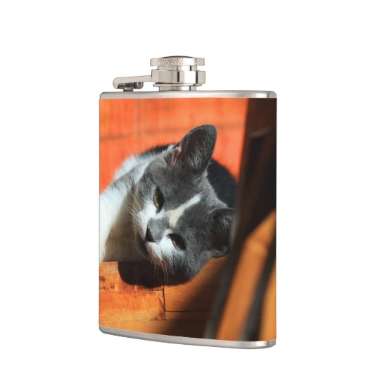 Kitten Flachmann (Links)