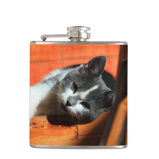 Kitten Flachmann (Vorderseite)