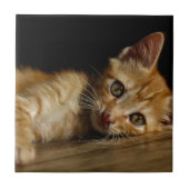 Kitten Fliese (Vorderseite)