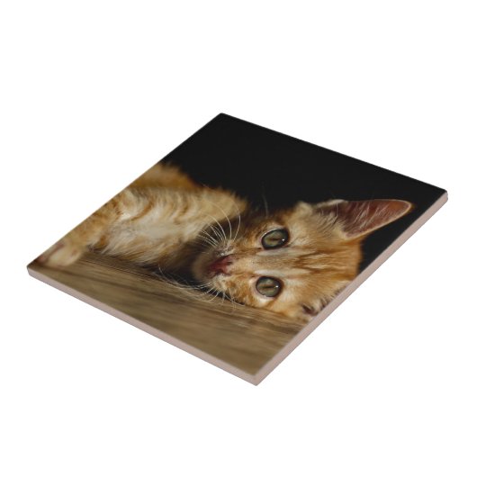 Kitten Fliese (Seite)