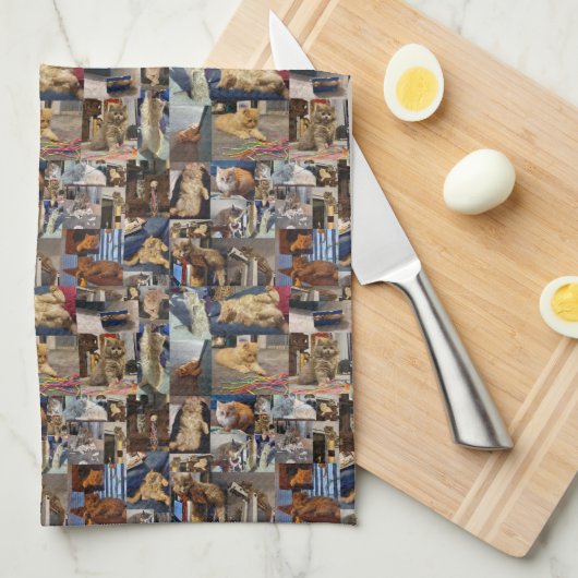 Kitten Foto Collage, Geschirrtuch (Viertel Falte)