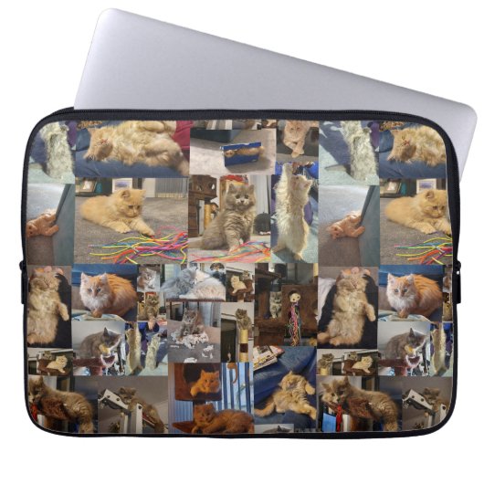 Kitten Foto Collage, Laptop-Sieb Laptopschutzhülle (Vorderseite)