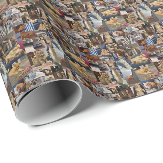 Kitten Foto Collage, Packpapier (Rolleneckpunkt)