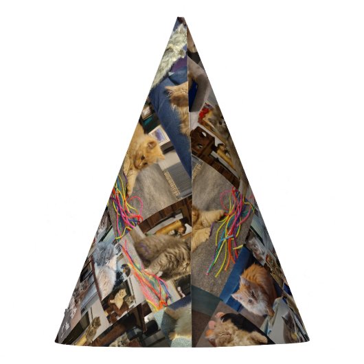 Kitten Foto Collage, Party Hats Partyhütchen (Rückseite)