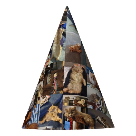 Kitten Foto Collage, Party Hats Partyhütchen (Vorderseite)