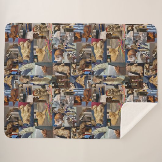 Kitten Foto Collage, Sherpadecke (Vorderseite (Horizontal))