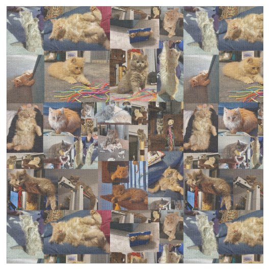 Kitten Foto Collage, Stoff (Nahaufnahme)