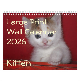 Kitten Foto Wall Calendar 2026 Kalender