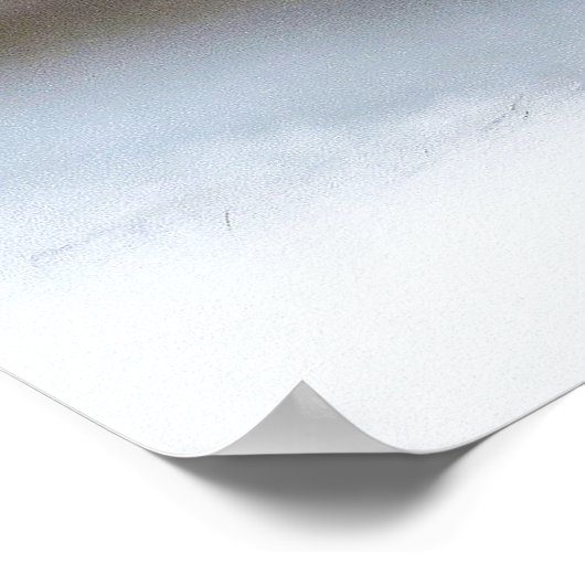 KITTEN FOTOGRAFISCHER POSTER (Ecke)