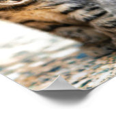 KITTEN-FOTOGRAFISCHER PUNKT IN FARBE POSTER (Ecke)