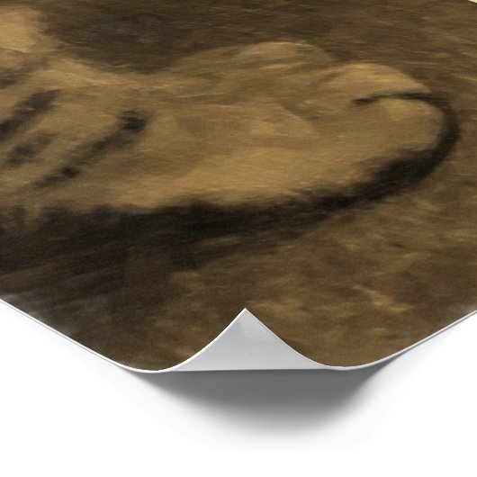 Kitten Gangs Poster (Ecke)