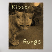 Kitten Gangs Poster (Vorne)