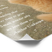 Kitten Gedicht Niedlich Orange Cat Fotodruck (Ecke)