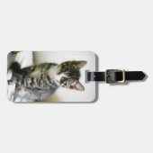 Kitten Gepäckanhänger (Vorderseite horizontal)