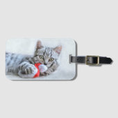 Kitten Gepäckanhänger (Vorderseite (Horizontal))