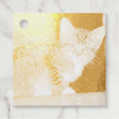 Kitten Geschenkanhänger (Vorderseite)