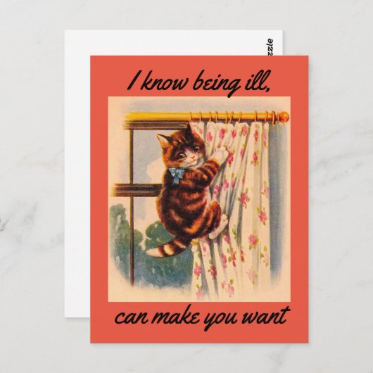 Kitten Get Well Postcard Postkarte (Vorne/Hinten)