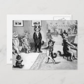 Kitten gibt eine Erwägung Postkarte (Vorne/Hinten)