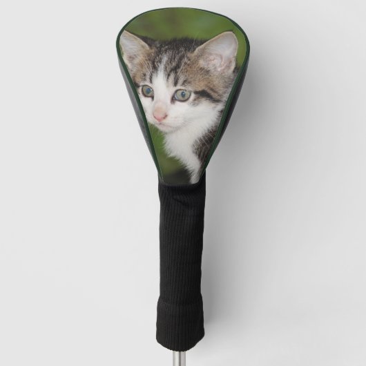 Kitten Golf Headcover (Vorderseite)