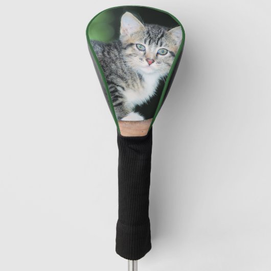 Kitten Golf Headcover (Vorderseite)