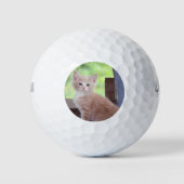 Kitten Golfball (Vorderseite)