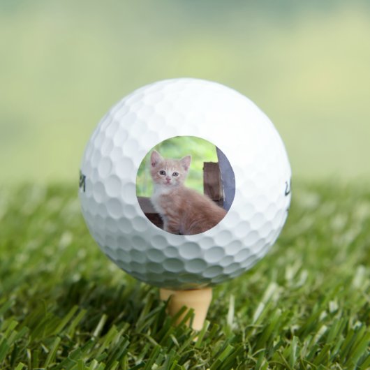 Kitten Golfball (Insitu T-Shirt)