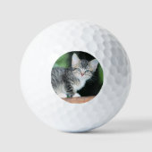 Kitten Golfball (Vorderseite)