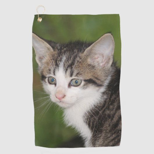 Kitten Golfhandtuch (Vorderseite)