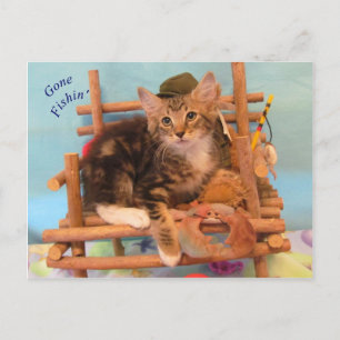 Kitten Gone Fishin' Postcard Postkarte
