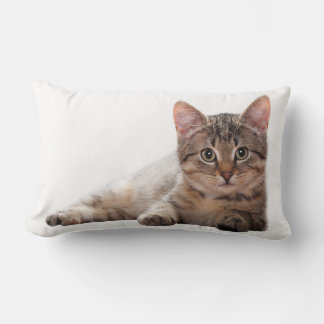 Kitten Gray White Cat Cute Animal Lendenkissen
